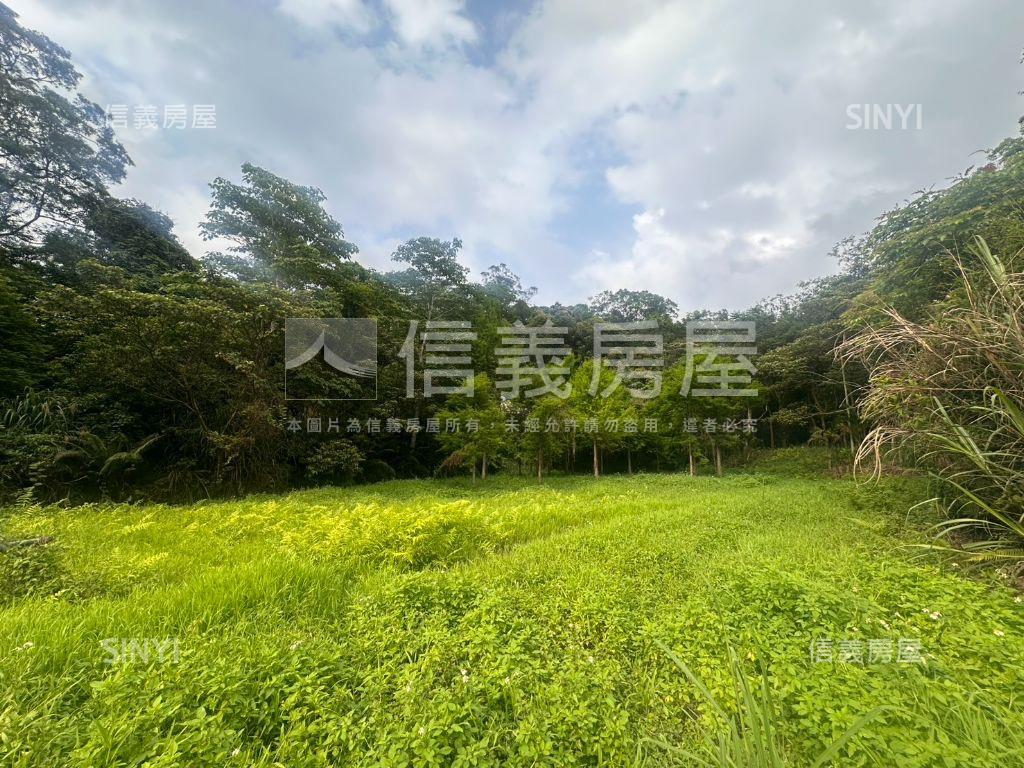 關西老社寮路邊黃金農地房屋室內格局與周邊環境