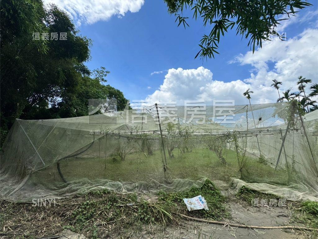 關廟區龜洞段土地Ａ房屋室內格局與周邊環境