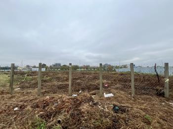 台中１３期｜楓溪段土地