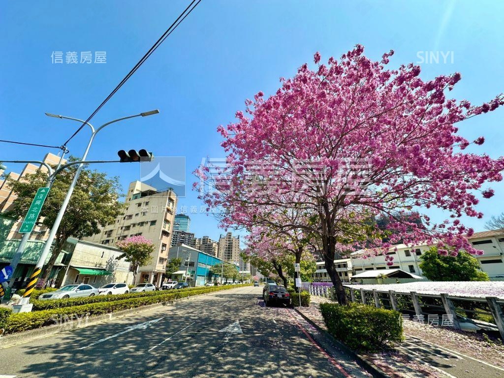 專任近中山醫公園苑樹梢戶房屋室內格局與周邊環境