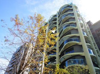 晴空樹綠意環繞美學豪邸