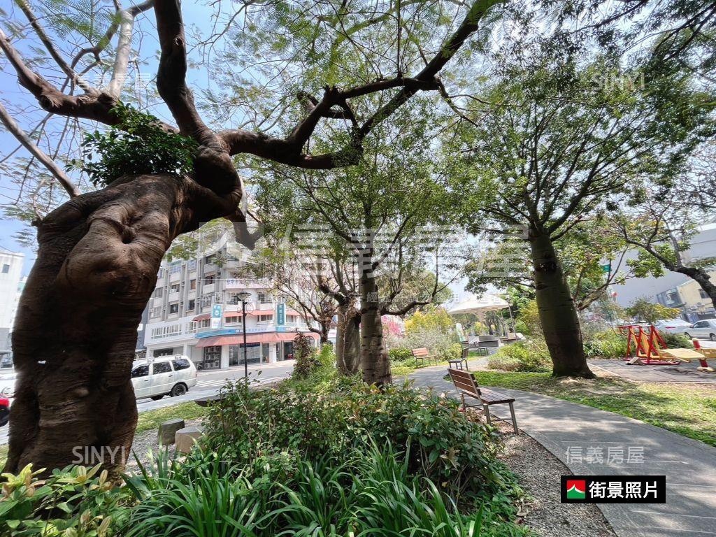 興進園道大大的美別墅房屋室內格局與周邊環境