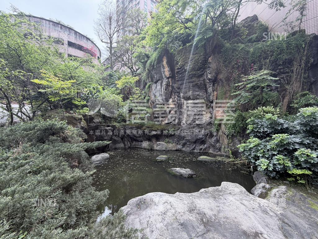 白雲山莊大坪數毛胚屋房屋室內格局與周邊環境