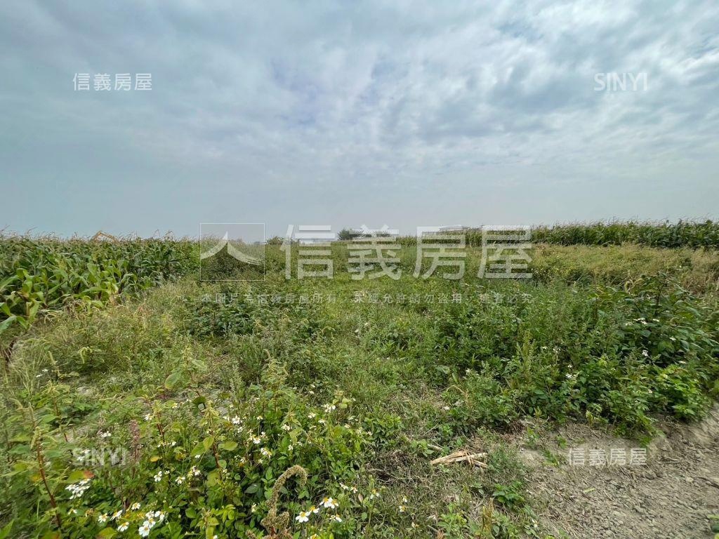 七股有機農地約１．４分房屋室內格局與周邊環境