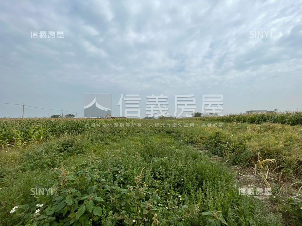 七股有機農地約１．４分房屋室內格局與周邊環境