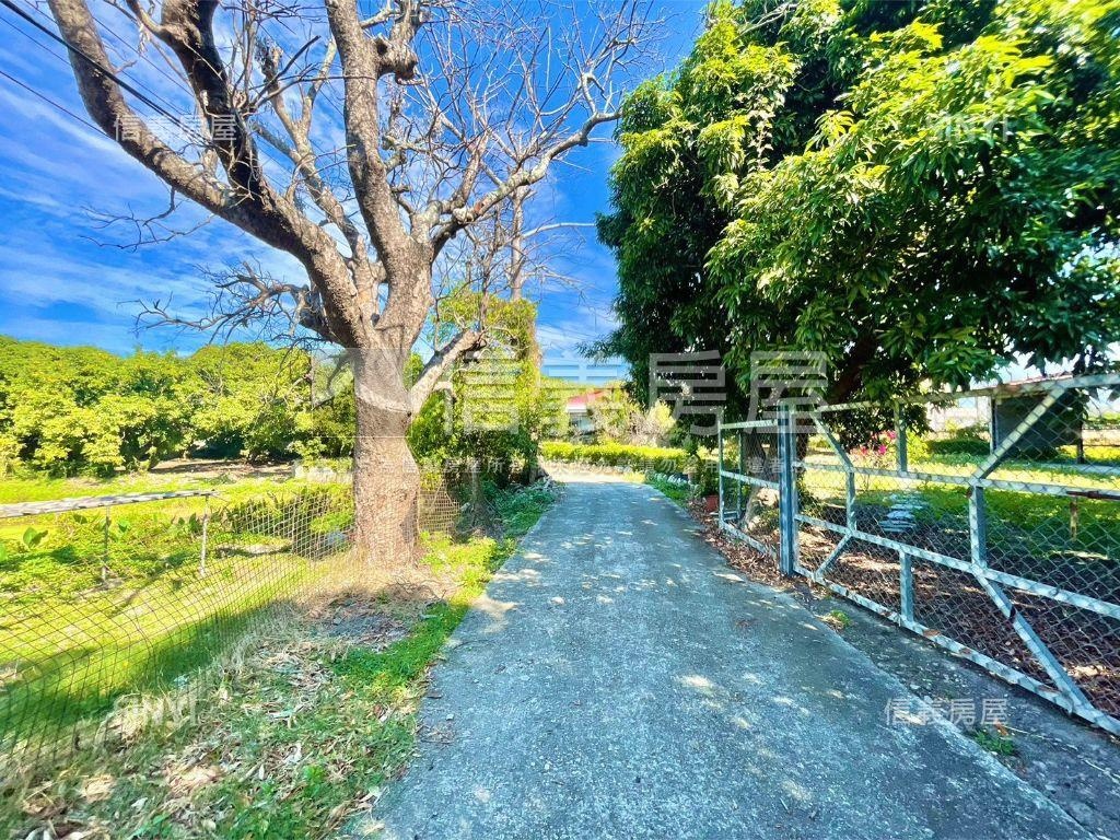 上楓國小旁！農建地！房屋室內格局與周邊環境