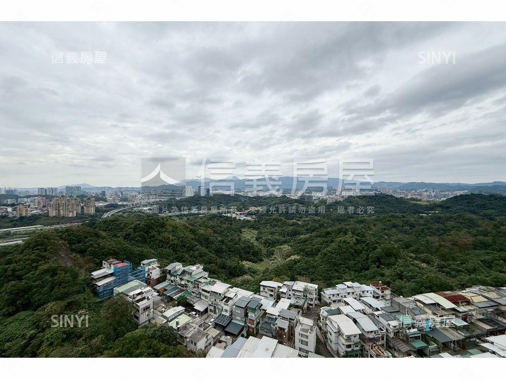 天墅Ａ棟高樓景觀美裝潢房屋室內格局與周邊環境