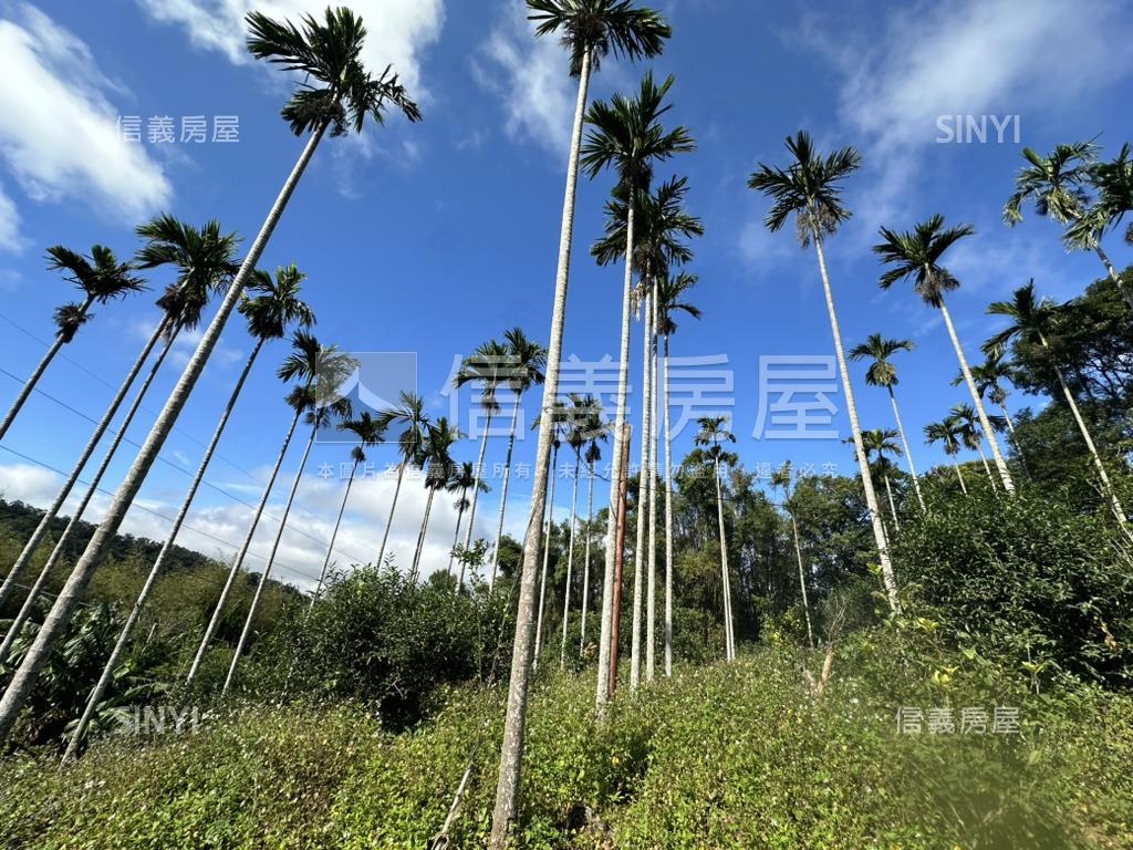專任新竹新埔鎮土地出售房屋室內格局與周邊環境