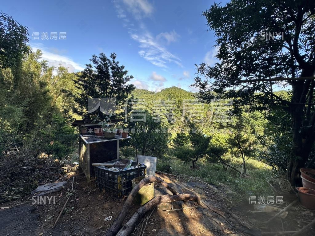 專任新竹新埔鎮土地出售房屋室內格局與周邊環境