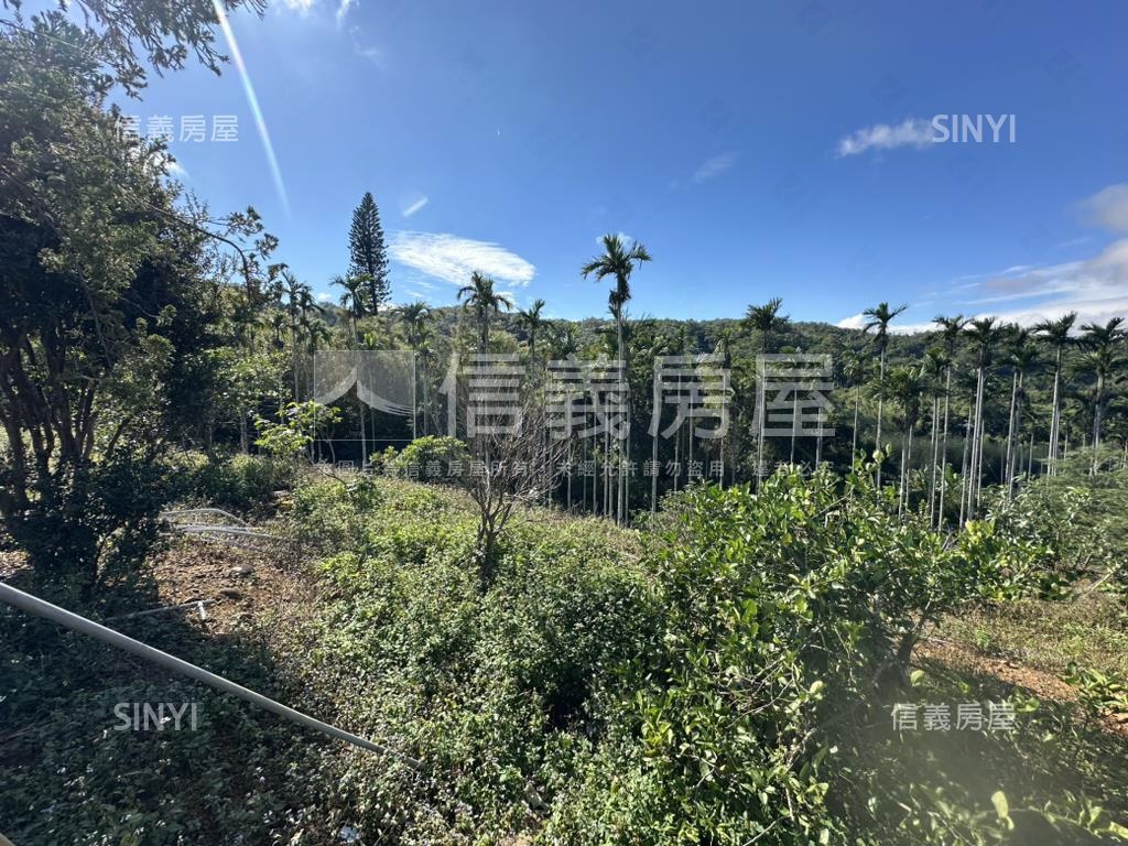 專任新竹新埔鎮土地出售房屋室內格局與周邊環境