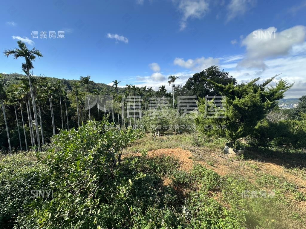 專任新竹新埔鎮土地出售房屋室內格局與周邊環境