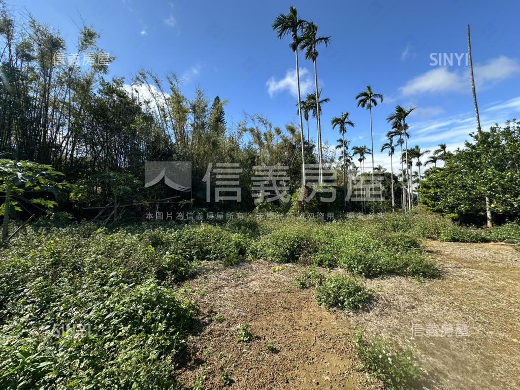 專任新竹新埔鎮土地出售房屋室內格局與周邊環境