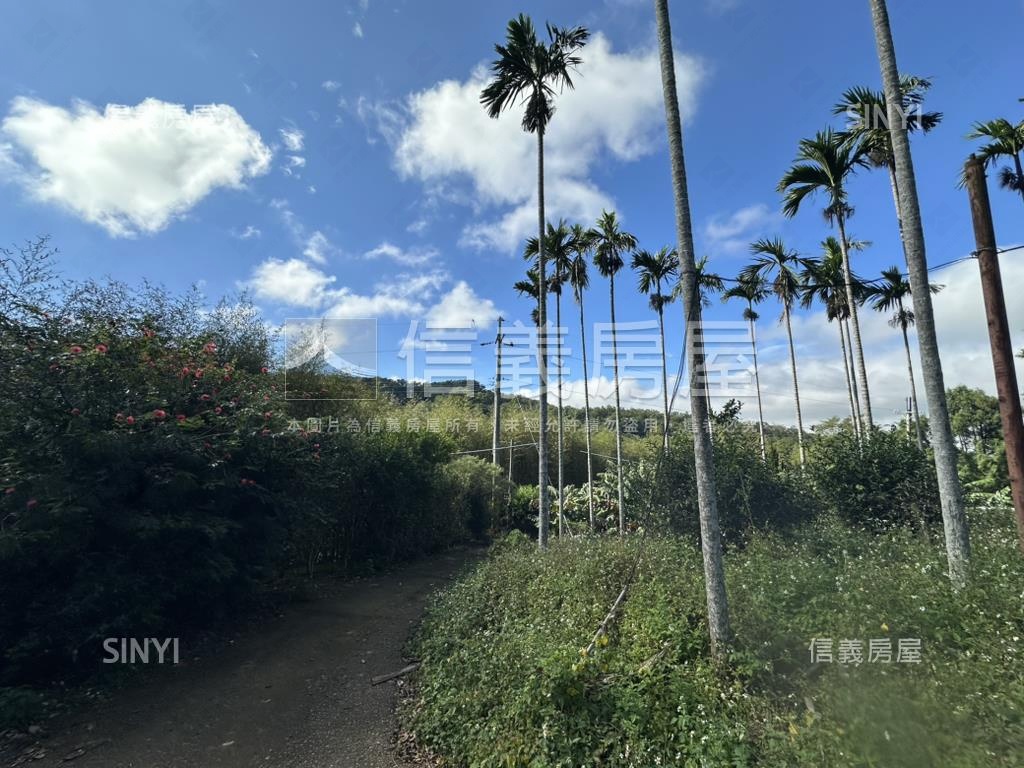 專任新竹新埔鎮土地出售房屋室內格局與周邊環境