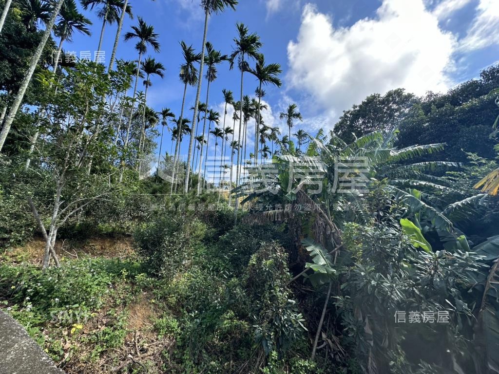 專任新竹新埔鎮土地出售房屋室內格局與周邊環境