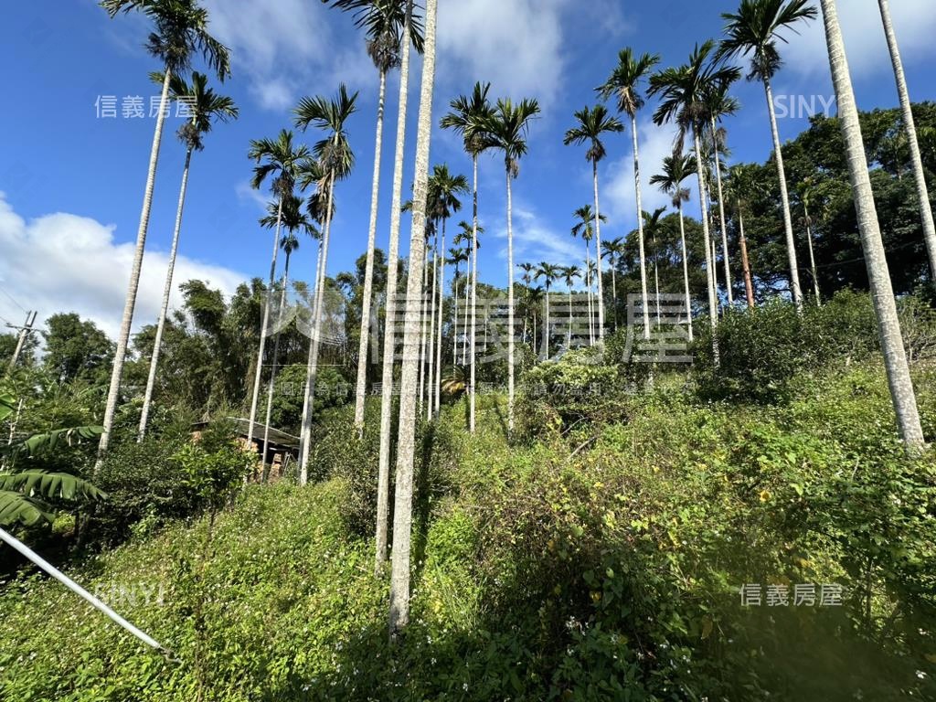 專任新竹新埔鎮土地出售房屋室內格局與周邊環境
