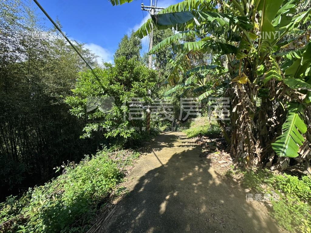 專任新竹新埔鎮土地出售房屋室內格局與周邊環境