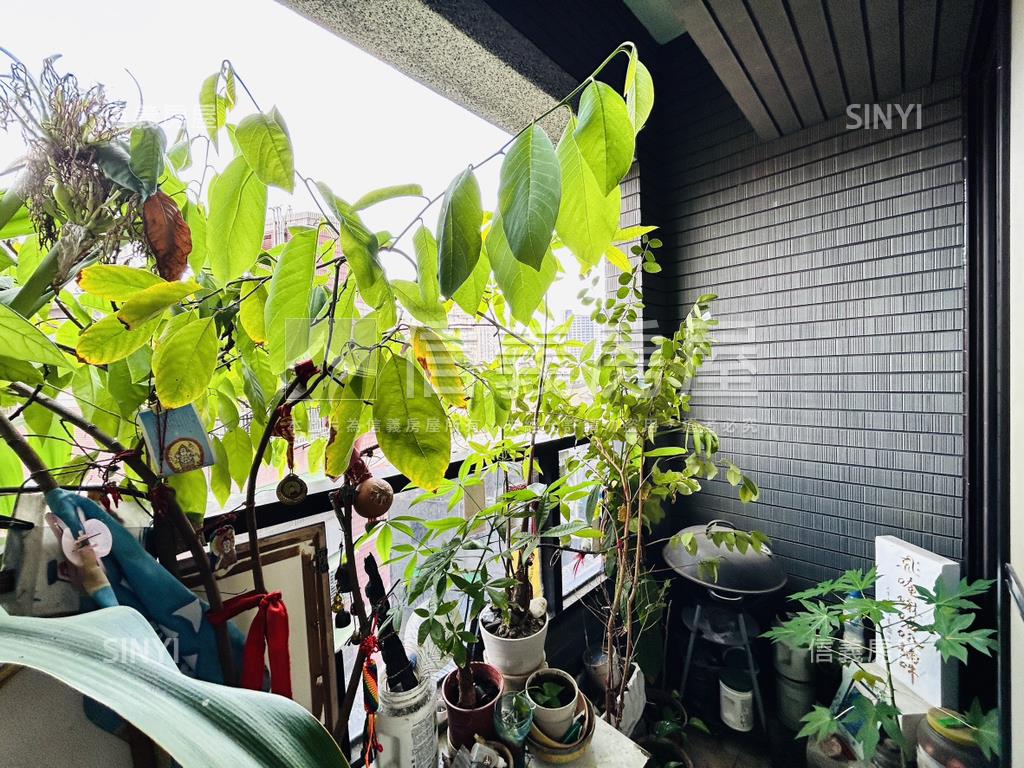 北市雙星一橋之隔四房房屋室內格局與周邊環境