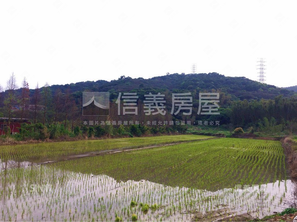 ⭐桃園市楓壽段．方正土地房屋室內格局與周邊環境