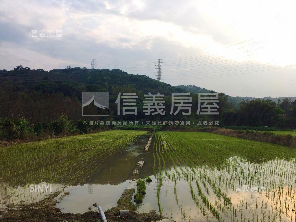 ⭐桃園市楓壽段．方正土地房屋室內格局與周邊環境