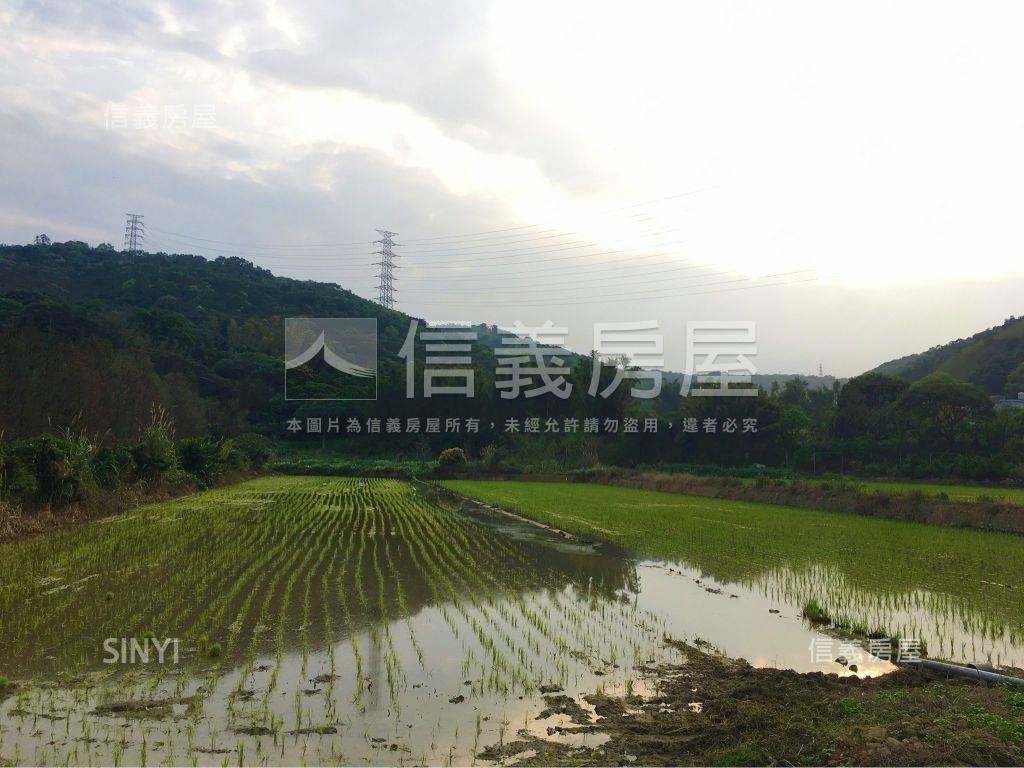 ⭐桃園市楓壽段．方正土地房屋室內格局與周邊環境