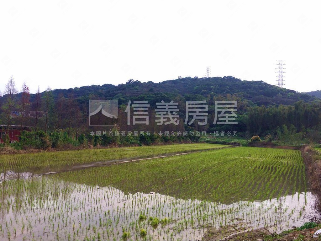 ⭐桃園市楓壽段．方正土地房屋室內格局與周邊環境