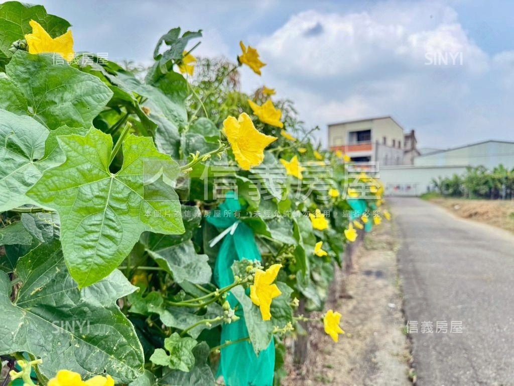 歸仁｜三面臨路有水電農地房屋室內格局與周邊環境