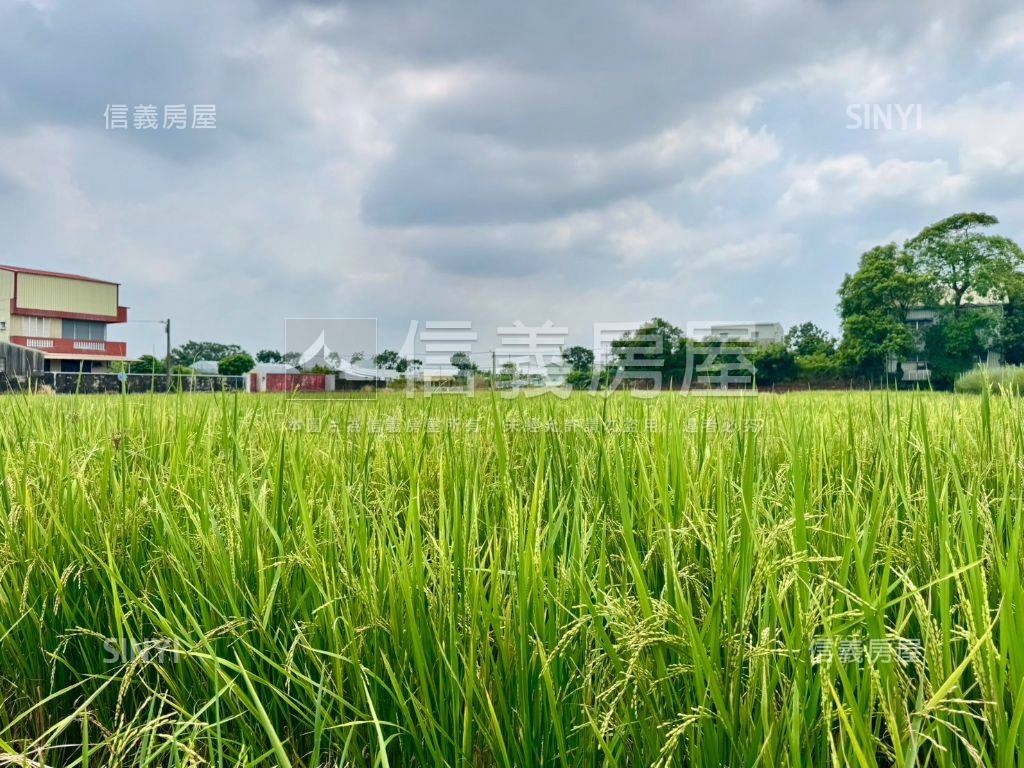 歸仁｜三面臨路有水電農地房屋室內格局與周邊環境