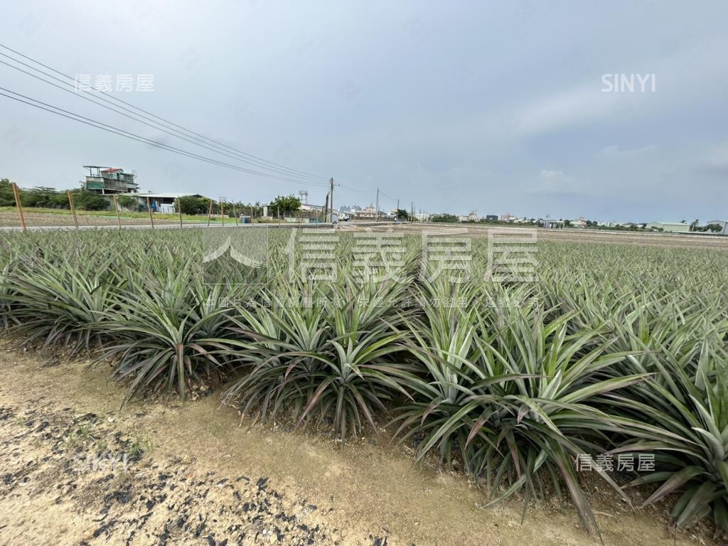 大寮江山都內農地房屋室內格局與周邊環境