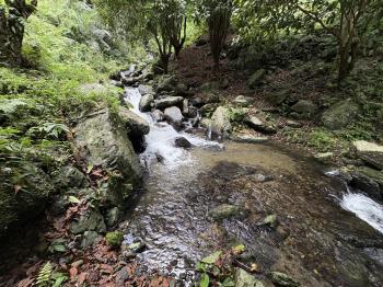 廉售宜蘭小礁溪雙溪園寶地