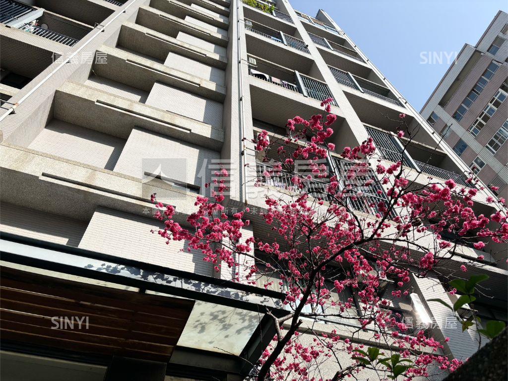 中科朝東陽光灑落的愛瑪市房屋室內格局與周邊環境