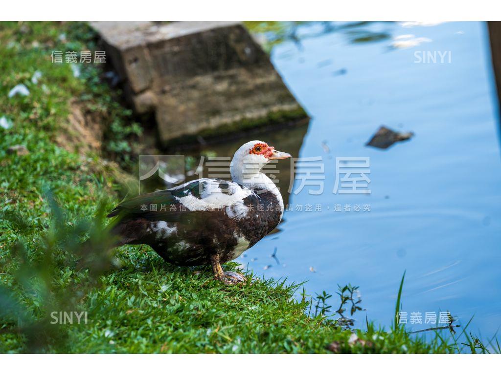 稀有玉山岩３房車位房屋室內格局與周邊環境