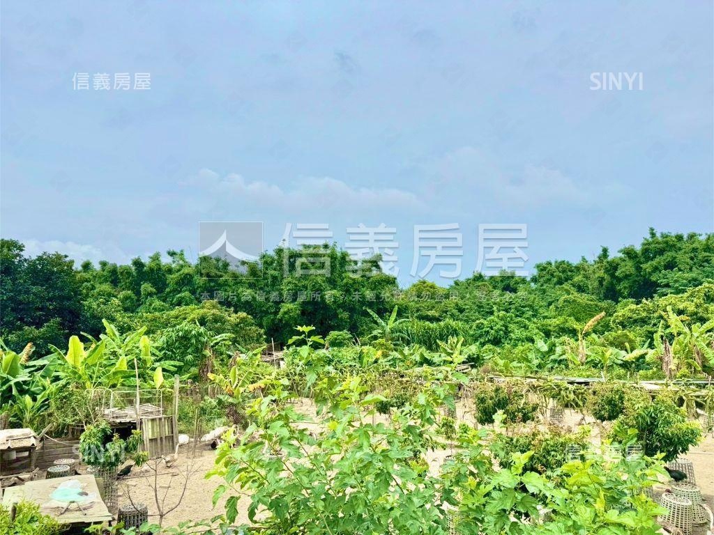 后里近鐵馬道美農地１房屋室內格局與周邊環境