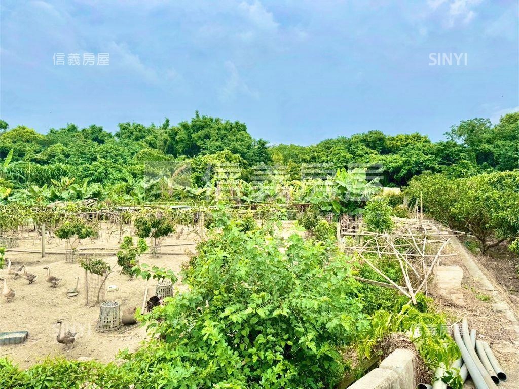 后里近鐵馬道美農地１房屋室內格局與周邊環境