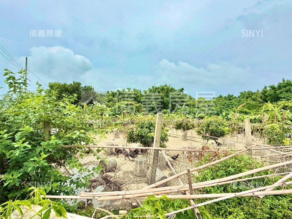 后里近鐵馬道美農地１房屋室內格局與周邊環境