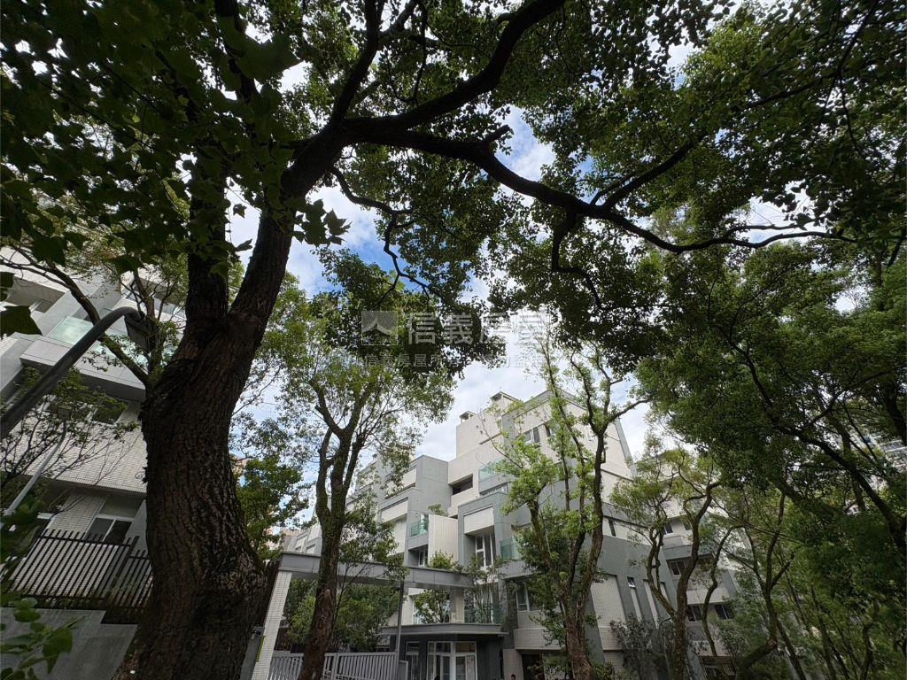 木柵樹語院新落成露臺戶房屋室內格局與周邊環境