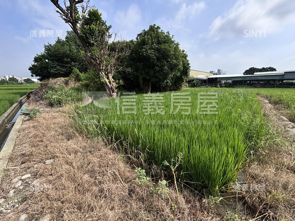 神岡土地１７９農地房屋室內格局與周邊環境