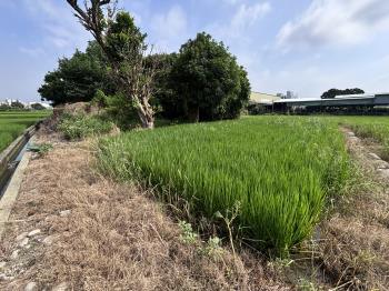 神岡土地１７９農地