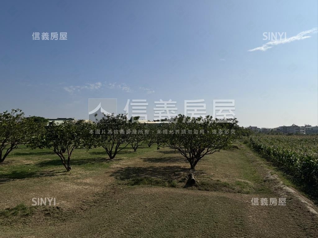 大山國小旁鄰路農地房屋室內格局與周邊環境