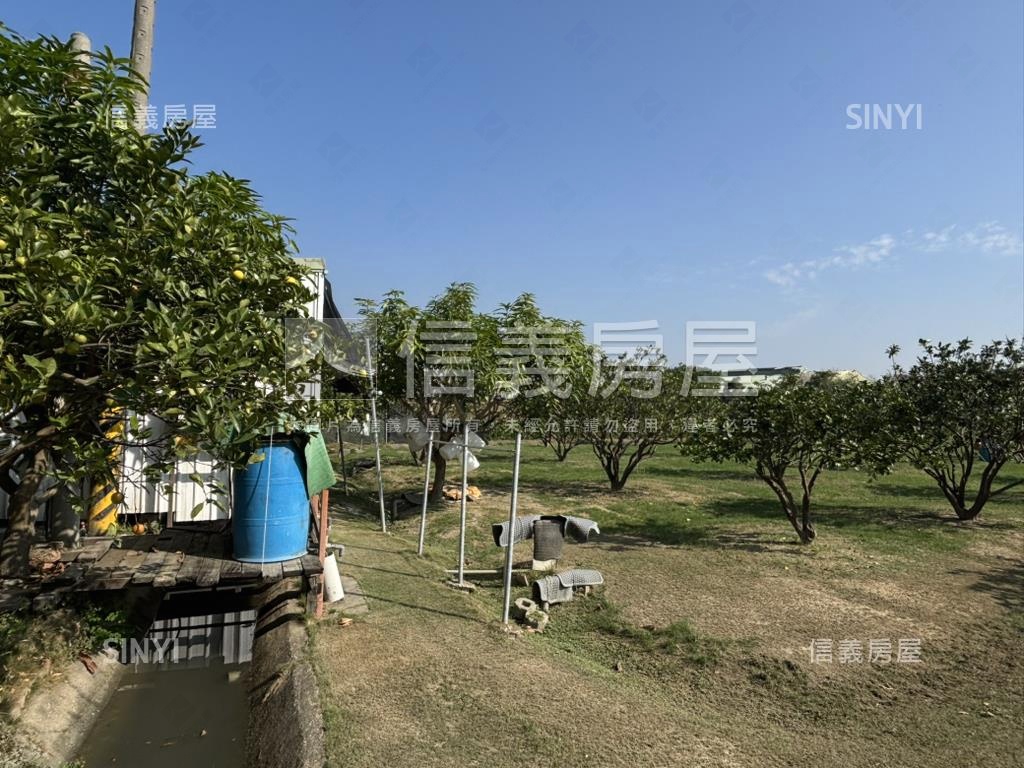 大山國小旁鄰路農地房屋室內格局與周邊環境