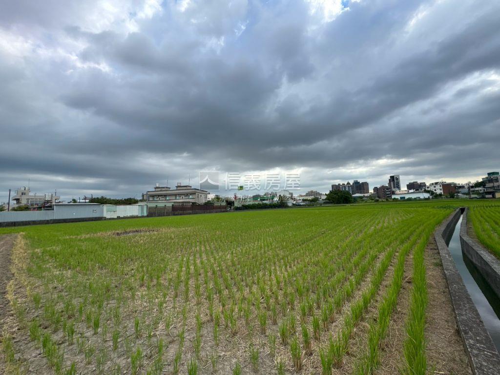 大桃園八德好農地房屋室內格局與周邊環境