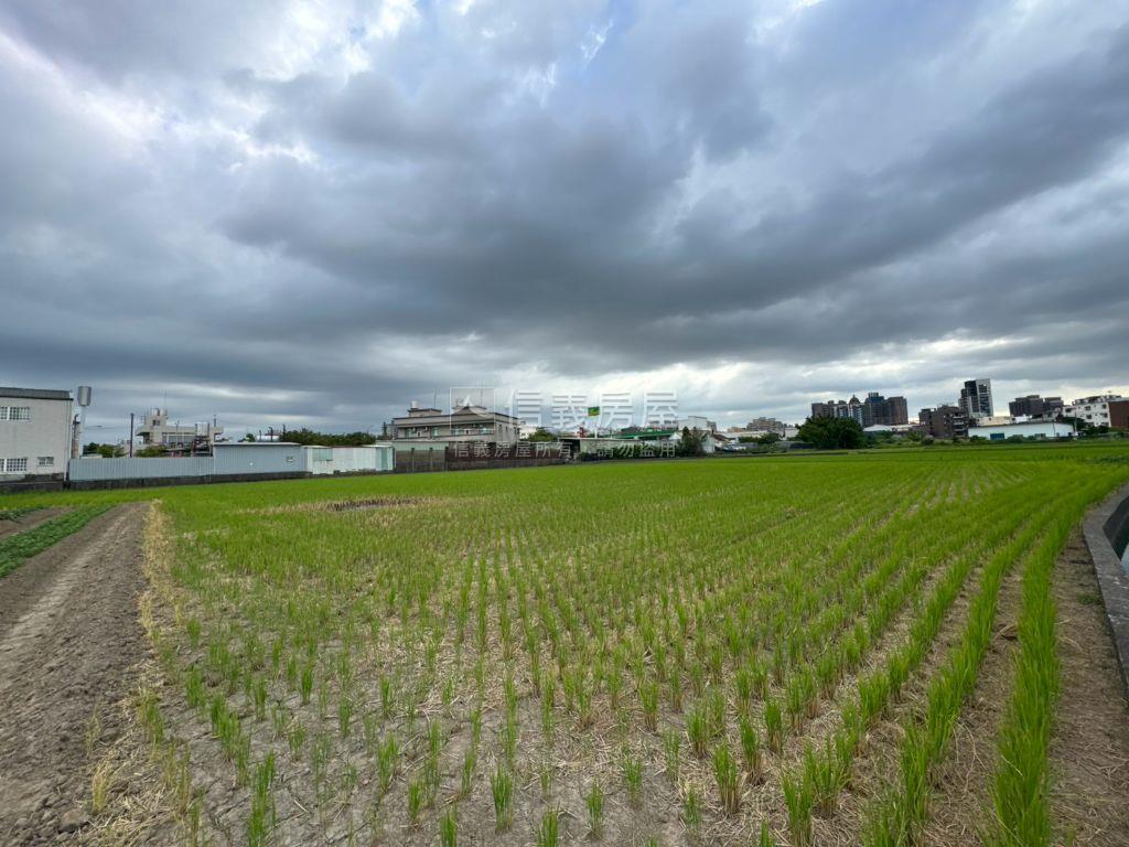 大桃園八德好農地房屋室內格局與周邊環境
