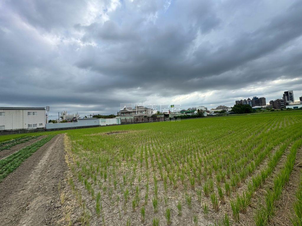 大桃園八德好農地房屋室內格局與周邊環境