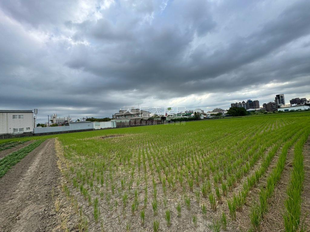 大桃園八德好農地房屋室內格局與周邊環境