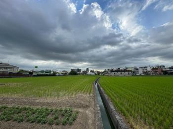 大桃園八德好農地