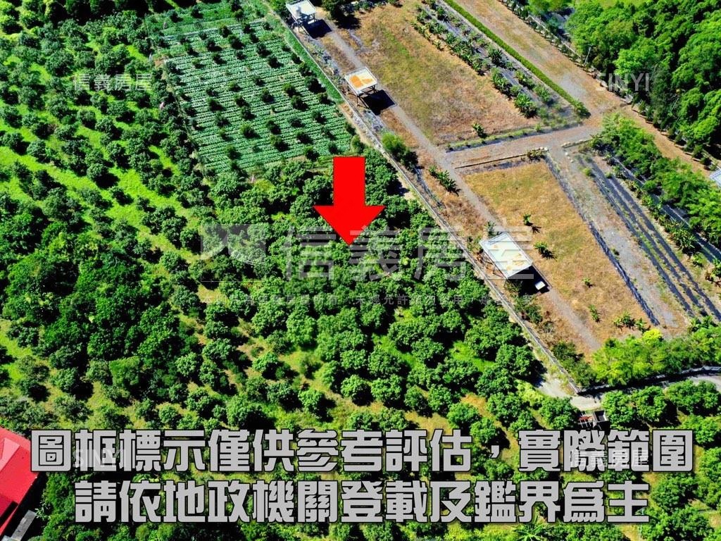 六龜紫蝶段農地１房屋室內格局與周邊環境