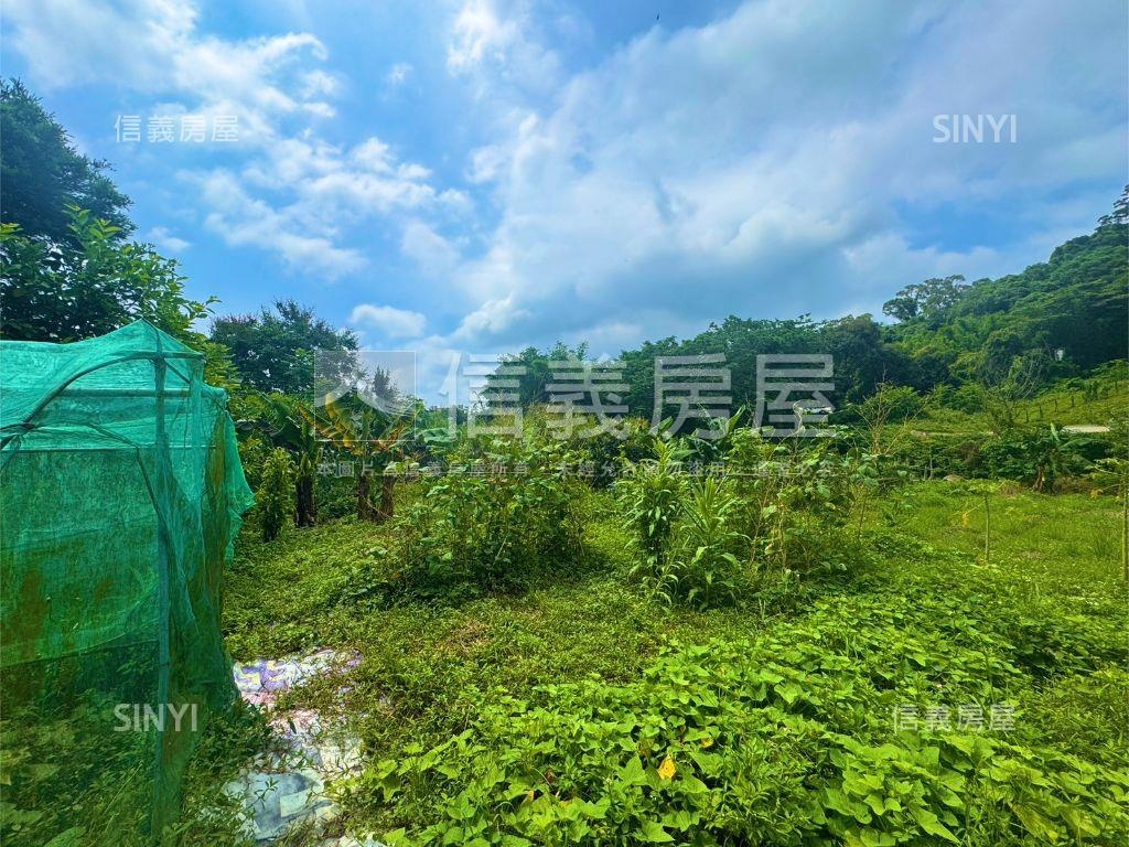 芎林綠獅段土地房屋室內格局與周邊環境