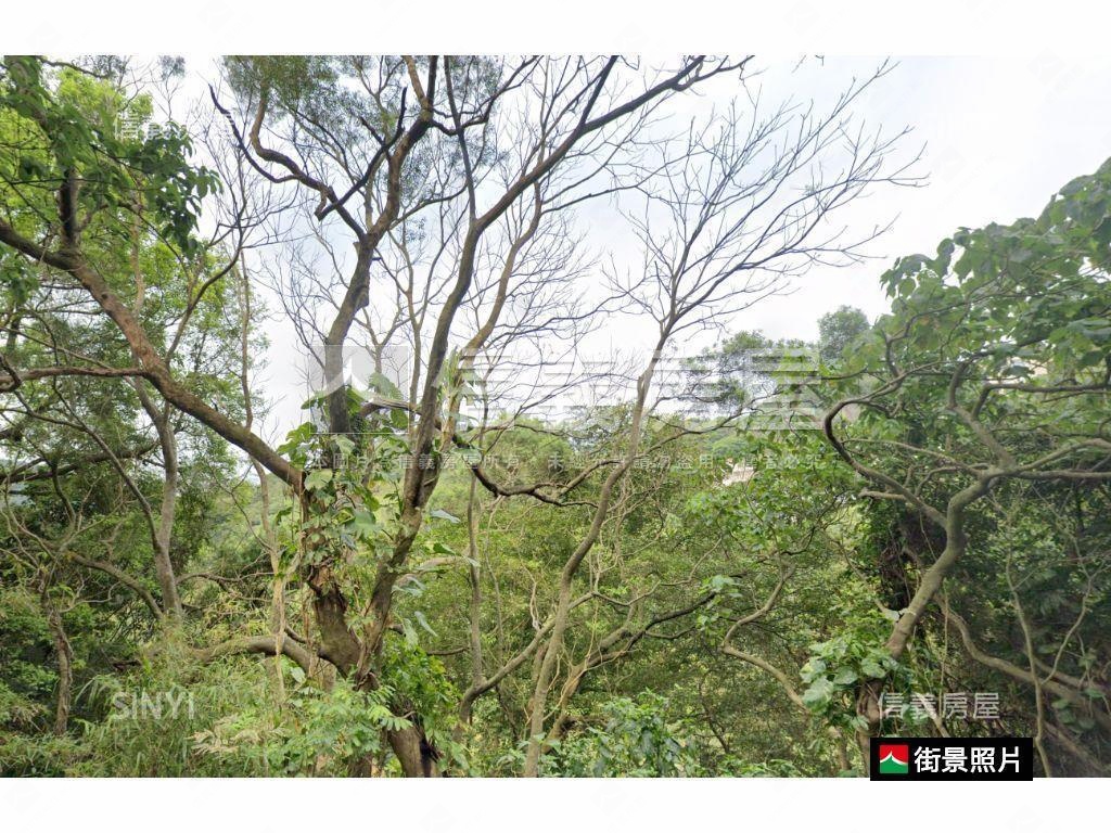 台北市信義區整筆土地房屋室內格局與周邊環境