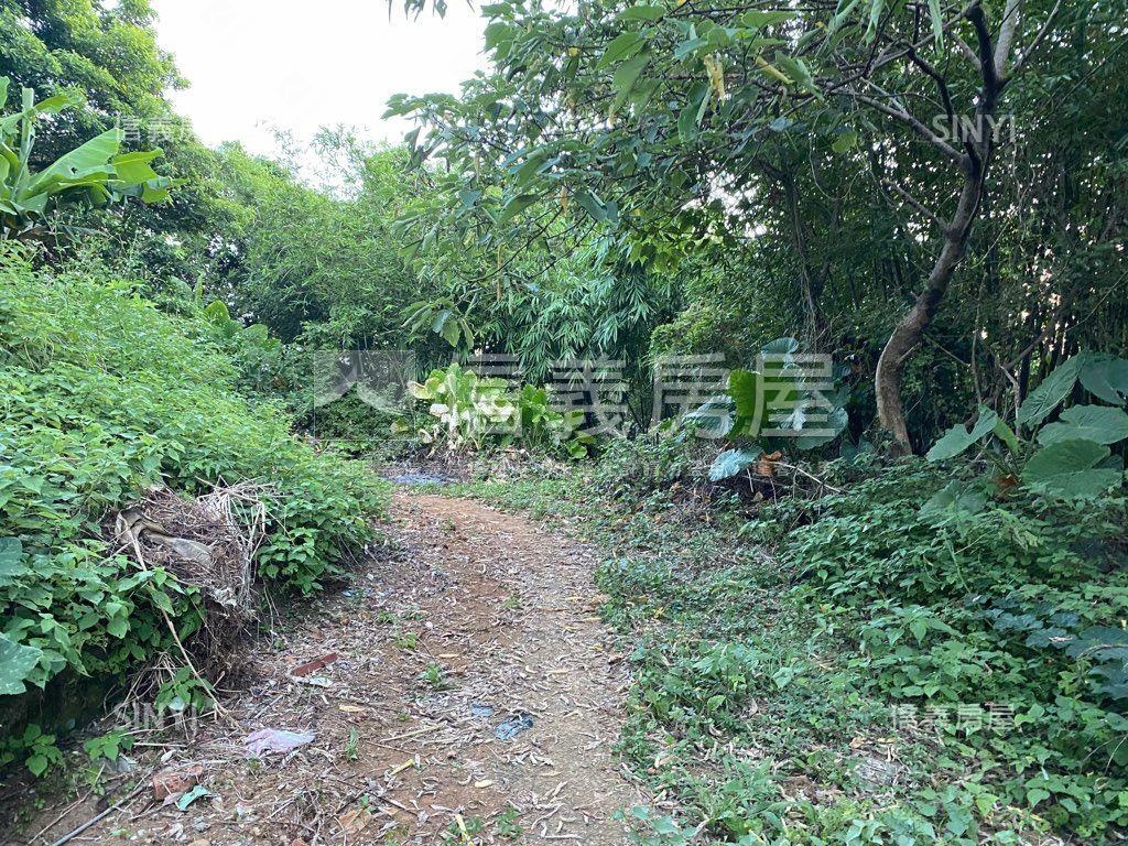 淡水土地房屋室內格局與周邊環境