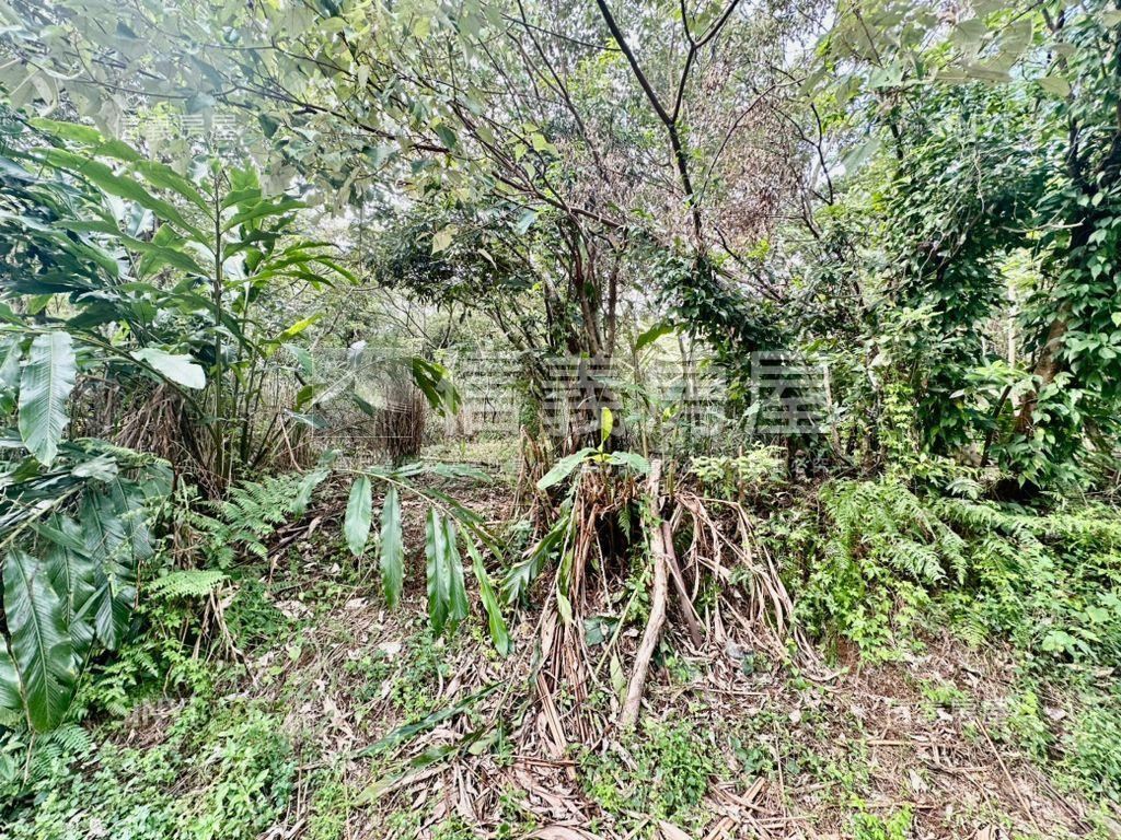 淡水土地房屋室內格局與周邊環境
