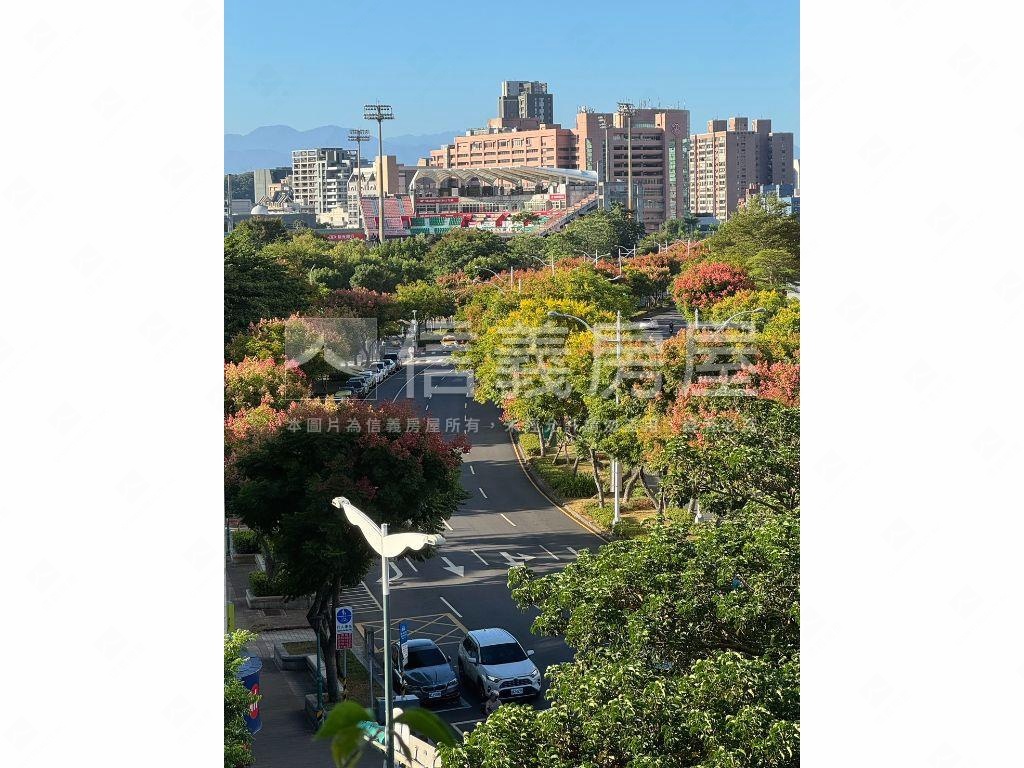 專任！新第來亨天母名宅房屋室內格局與周邊環境